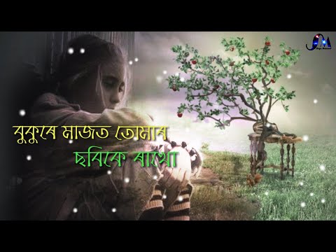 Bukure Majot Tumar | Assamese Sad Status Video | Sad Status | Ships Moment 2019