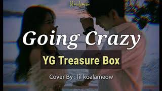 GOING CRAZY [Cover] YG 보석함 | YG Treasure Box By Lil KM