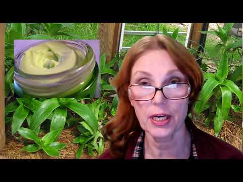 Video: Goldener Schnurrbart - Golden, Schnurrbart, Pflanze