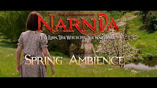 The Chronicles of Narnia | Immersive Dolby Atmos Spring Ambience | No Music | No AI