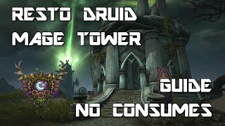 Time Walking Resto Druid Mage Tower Guide