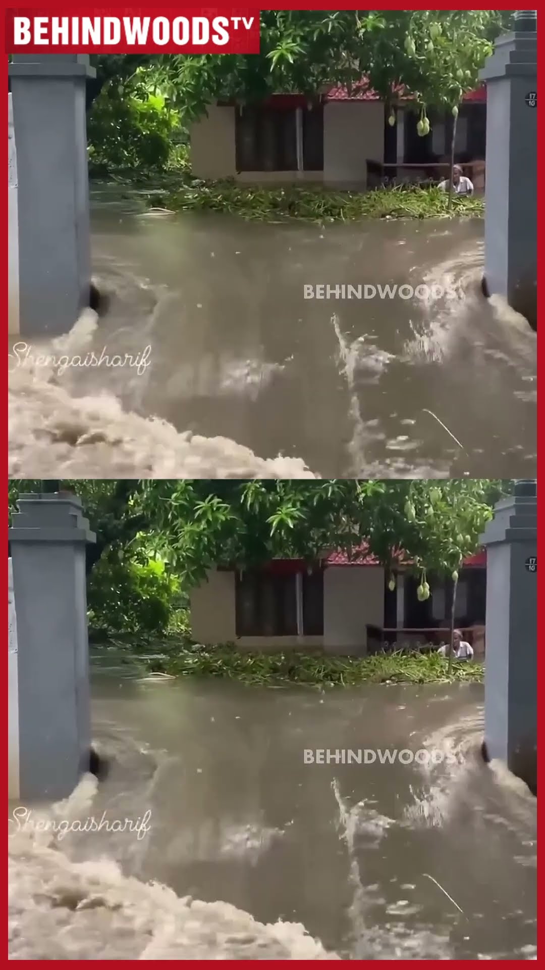 'இது வீடா இல்ல.. தாமிரபரணி ஆறா' ??  புரட்டி எடுத்த கனமழை