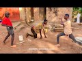 Jerusalema dance challenge by kapata africana kids new dance 2022