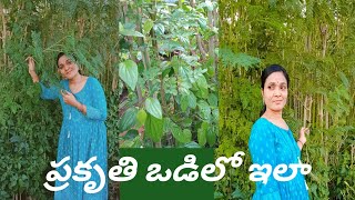 weight loss అవాలి...| Books తీసుకోని వెళ్తాం కానీ చదవకుండా...| అన్ని గుర్తుకు వచ్చాయి...|