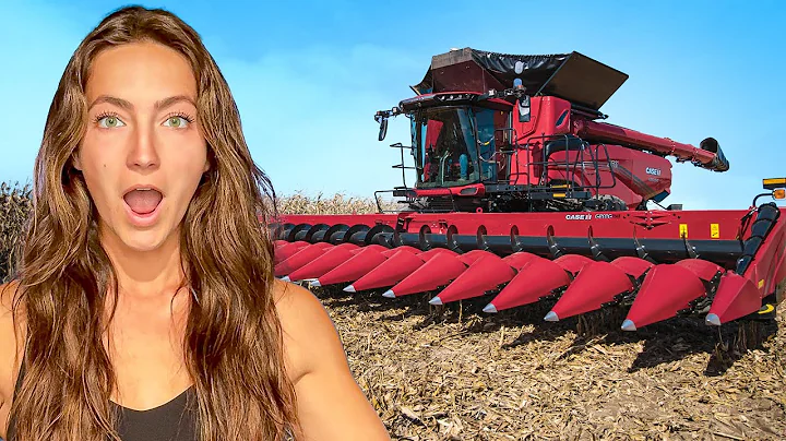 Harvesting With The World's BIGGEST Combine