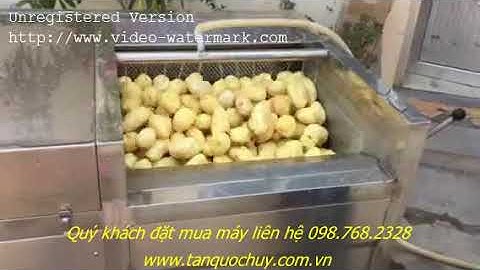 Máy gọt vỏ khoai tây, khoai lang, máy rửa củ quả. 098.768.2328