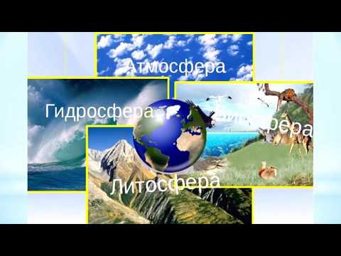 Бейне: Биосфера дегеніміз не?