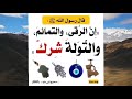 الشرك بالله تعريفه أنواعه تواقضه خطبة جمعة نصح بنشرها الدكتور مسعود حامد بشر و قال أنها مفيدة الشرك بالله تعريفه أنواعه تواقضه خطبة جمعة نصح بنشرها الدكتور مسعود حامد بشر و قال أنها مفيدة