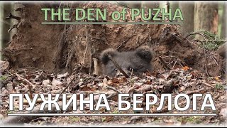 ПУЖА И ЕЕ БЕРЛОГА / PUZHA AND HER DEN