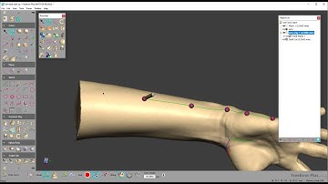 Freeform Tutorial - Basic Brace