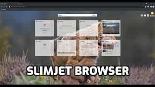 Slimjet Browser screenshot 4