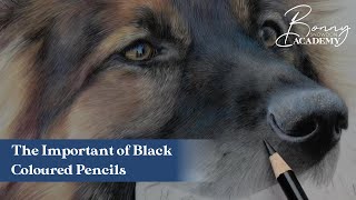 The Importance of Black Coloured Pencils | Quick Tip