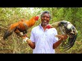 KING OF ROOSTER GRAVY | COUNTRY CHICKEN RECIPE PREPARED BY DADDY | FARMER COOKING