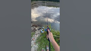 Shimano slx xt gomexus stardrag ✅