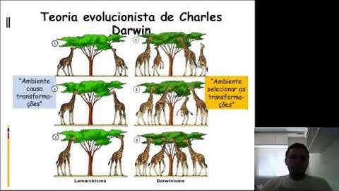 Inteligência Artificial - Algoritmos Genéticos (parte I)