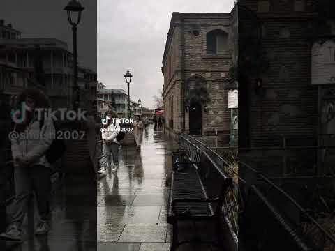 مسكين وغلبان تامر عاشور شوراع ايطاليا