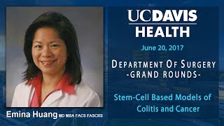 Stem-Cell Based Models of Colitis and Cancer - Emina Huang, M.D.