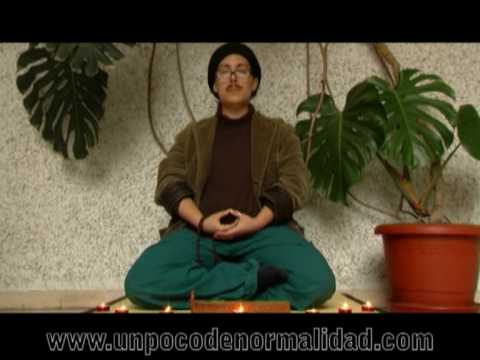 Un poco de normalidad. La meditacin (04)