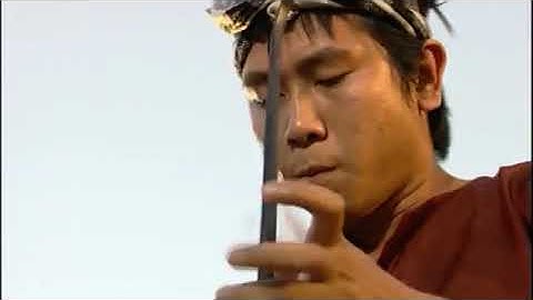 Vì Miền Nam Độc Tấu Đàn Bầu Hồ Hoài Anh