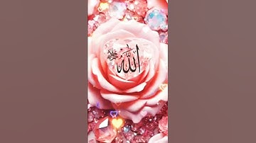 #القرآن_الكريم #اكسبلور #المصحف سورة الفاتحه 🌹