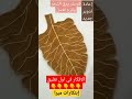 من شوال خيش اصنعي كوستر ورق الشجر الرائع او مفرش شيك وبسيط وسهل اشغال يدويه و فنيه hand made