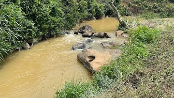 5041m2 Siêu phẩm giáp suối,lên được full thổ,mặt đường liên thôn lớn tại xã Hoà Bắc,huyện Di Linh