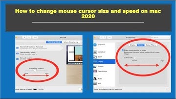 How to change mouse cursor size and speed on your Mac computer 2020