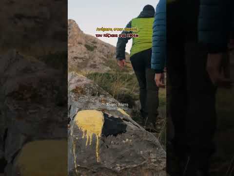 ΚΟΡΥΦΗ ΚΟΖΙΑΚΑ 1901M