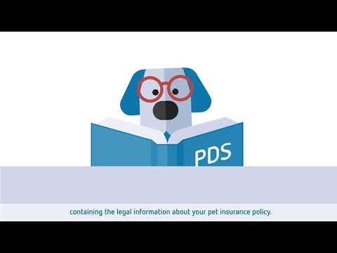 What pet insurance policy information will I receive?