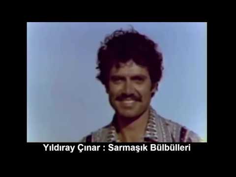 YILDIRAY ÇINAR : SARMAŞIK BÜLBÜLLERİ