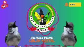 Download Lagu Masteran Ciblek Kristal jernih.... MP3