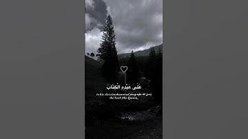 حالات دينية//تلاوة هادئة//القرآن الكريم//القارئ نور الدين سليم نوري