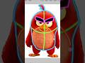 How To Draw Red ЁЯШОЁЯШН From The Angry Birds Movie Red Drawing Angrybirds Shorts Howto How To Draw Red ЁЯШОЁЯШН From The Angry Birds Movie Red Drawing Angrybirds Shorts Howto