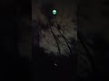 I was alone!.. in the woods!! 🫨 #youtubeshorts #yt #viral #gaming