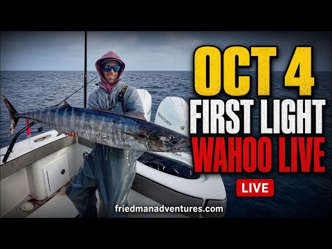 Thumbnail for the video “First Light LIVE 🎣 Puerto Vallarta Preview, Santa Monica Bay BFT, HB Airshow Finale & PV Monday”