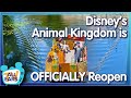 How is Disney’s Animal Kingdom Handling Reopening?