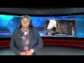 GUY TV9 NEWSCAST - 6 JAN, 2026