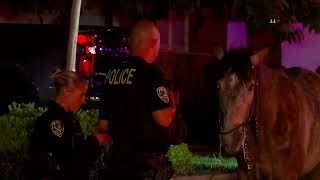 Horseback Rider Struck By SUV - Riverside, California  05.06.22