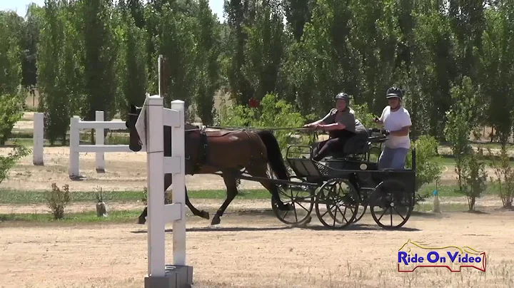 059M Theresa LaVoie Preliminary Single Horse Marat...