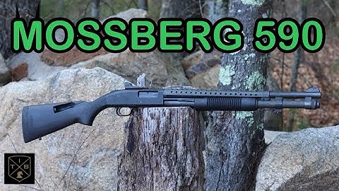 Cover Image for Mossberg 590 Shotgun Test and Review