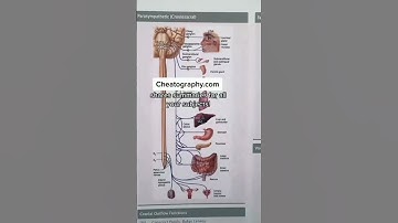 Best Study Hack💯 |#youtubeshorts#shorts#studyhacks