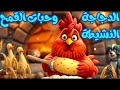 قصة الدجاجة النشيطة وحبات القمح حكايات للأطفال قبل النوم مع الدروس المستفادة باللهجة المصرية