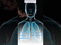 Lung Cancer Causes