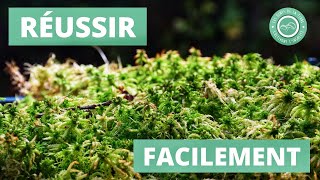 pour Plantes dintérieur Jardinage pour Plantes dextérieur à la Maison Mousse dorchidée Mousse deau de terreau pour orchidées Mousse de sphaigne pour Plantes dintérieur Jardinage pour Plantes dextérieur à la Maison Mousse dorchidée Mousse deau de terreau pour orchidées Mousse de sphaigne