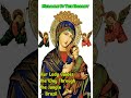 Miraculous Stories of the Rosary Real Life Wonders of Prayer – Holy Whisper Prayers 3