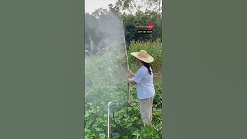 Béc phun sương bằng đồng 1 hướng dễ lắp đặt GIÁ RẺ#becphunsuong