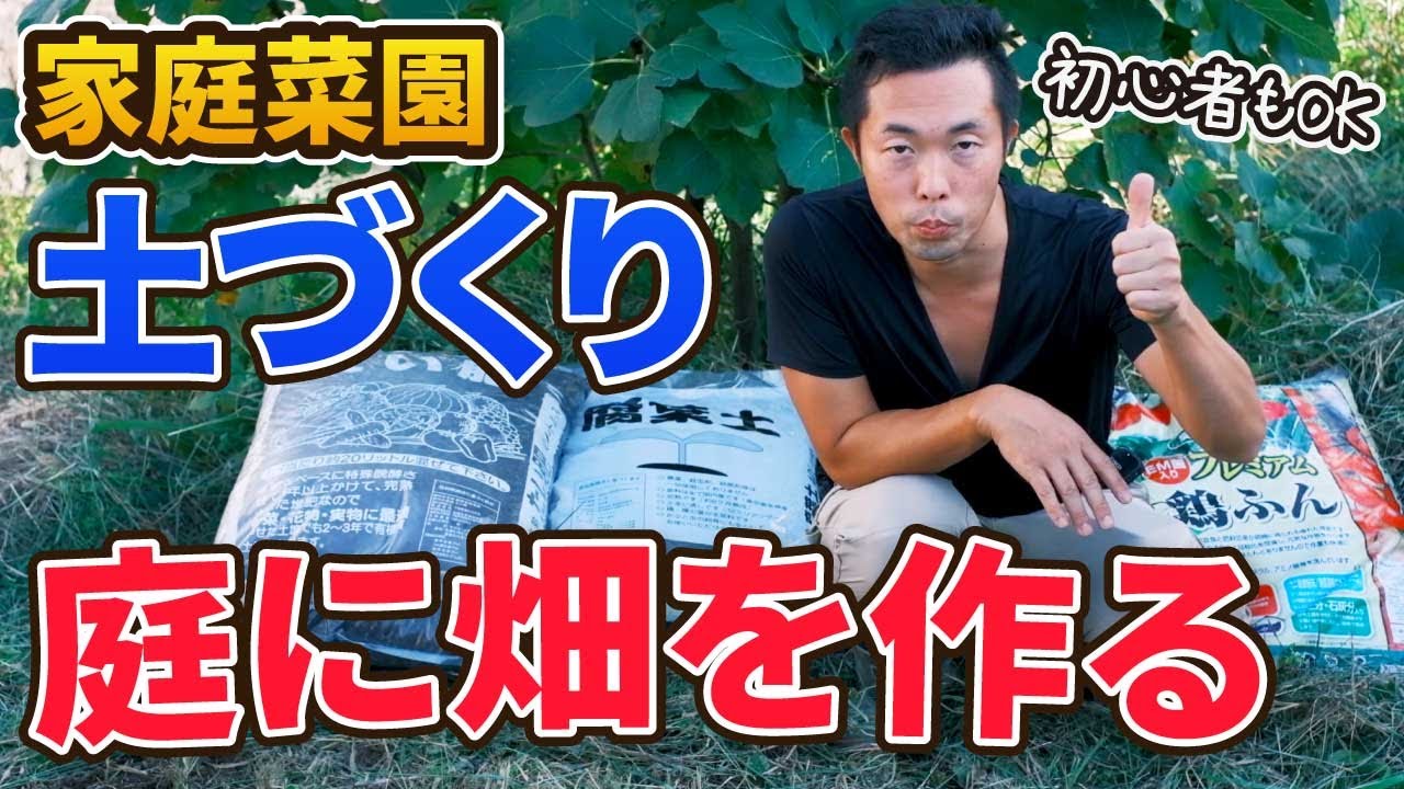 1 家庭菜園 はじめての庭で畑をつくる 土づくり 初心者もできる Youtube