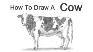 How to Draw a Cow