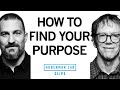 How to find your purpose  robert greene  dr andrew huberman