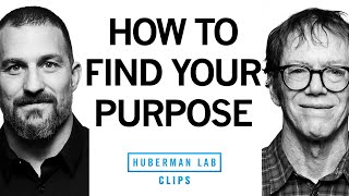 How To Find Your Purpose Robert Greene Dr Andrew Huberman